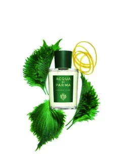 Acqua Di Parma Colonia C.L.U.B. - 50ml -Magasin De Soins De Maquillage De Mode 04125935 S2