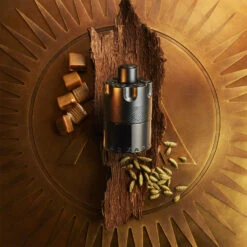 Azzaro The Most Wanted - 50ml 11 Azzaro The Most Wanted - 50ml -Magasin De Soins De Maquillage De Mode 06717X04 S1