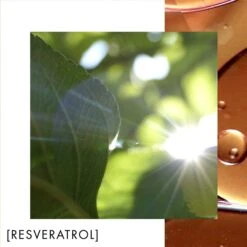 Biotherm Blue Therapy Revitalize Night - 50ml -Magasin De Soins De Maquillage De Mode 09555775 S3