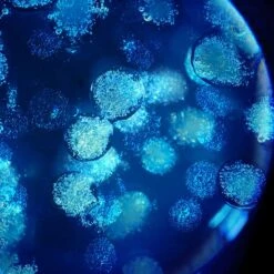 Biotherm Biovergetures - 150ml -Magasin De Soins De Maquillage De Mode 09564X02 S3