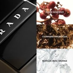 Prada Luna Rossa Black - 50ml -Magasin De Soins De Maquillage De Mode 73018X09 S1
