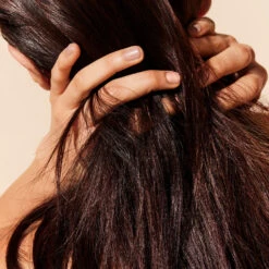 NUXE Huile Prodigieuse® Huile Sèche Multi-fonctions Visage, Corps, Cheveux - 50ml -Magasin De Soins De Maquillage De Mode P0161X01 S5