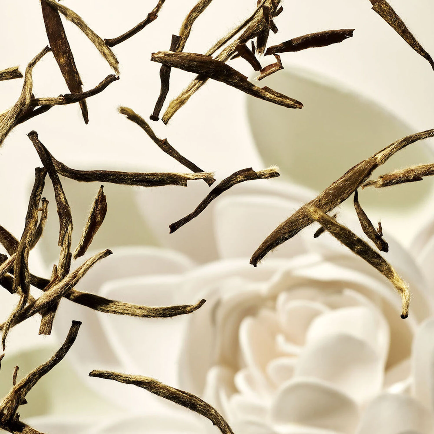 Rituals The Ritual Of Karma - 1Pièce 6 Rituals The Ritual Of Karma - 1Pièce – Image 6