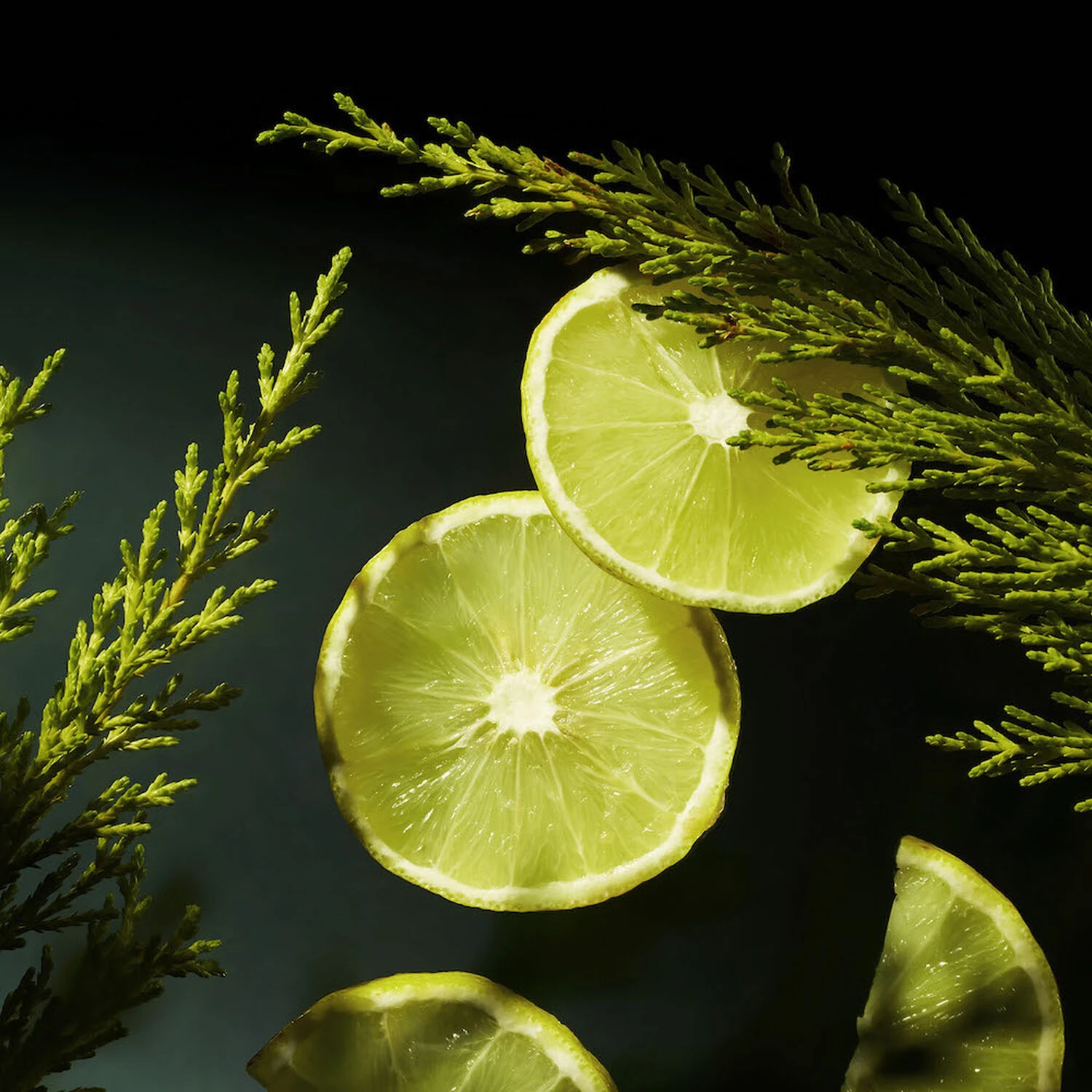 Rituals Homme - 1Pièce 6 Rituals Homme - 1Pièce – Image 6