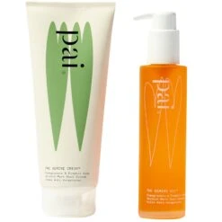 The Gemini - 1Pièce